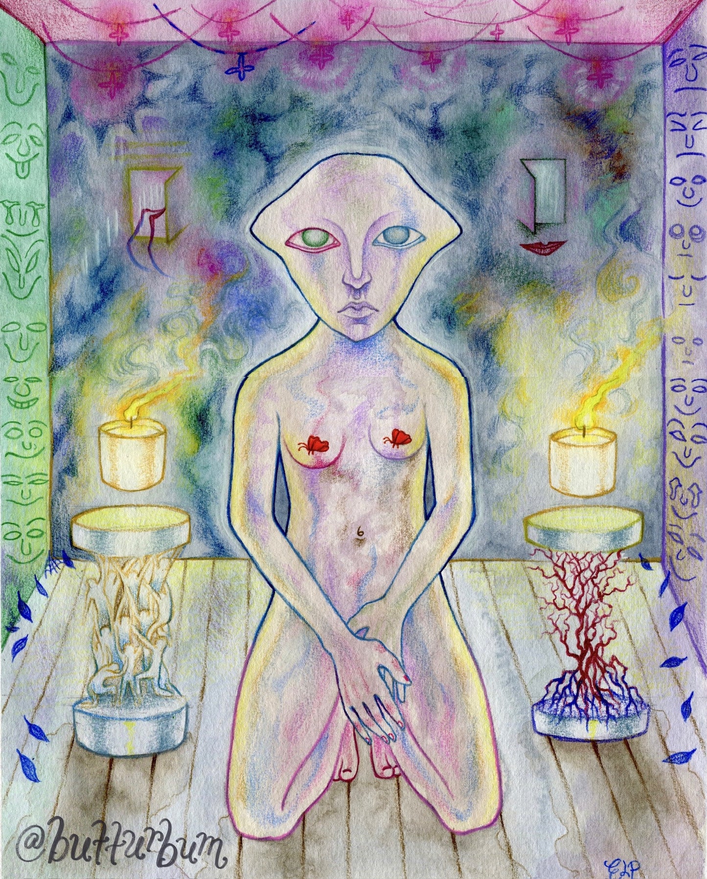 “OBSERVER”